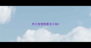 养只宠物狗要多少钱