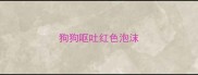 狗狗呕吐红色泡沫