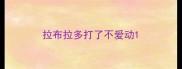 拉布拉多打了不爱动