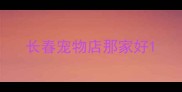 长春宠物店那家好