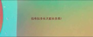 拉布拉多长大能长多高
