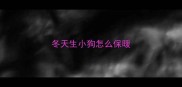 冬天生小狗怎么保暖