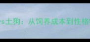 拉布拉多vs土狗从饲养成本到性格特点的全