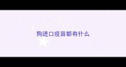 狗进口疫苗都有什么