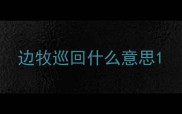 边牧巡回什么意思
