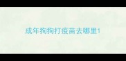 成年狗狗打疫苗去哪里