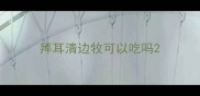 拜耳清边牧可以吃吗