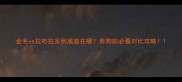 金毛vs拉布拉多到底差在哪养狗前必看对比攻略