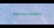 贵宾犬可以不打疫苗吗
