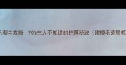 美短换毛期全攻略90主人不知道的护理秘诀附掉毛克星梳子测评