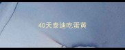 40天泰迪吃蛋黄