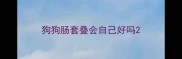 狗狗肠套叠会自己好吗