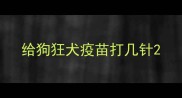 给狗狂犬疫苗打几针