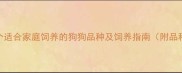 比泰迪犬更小的10个适合家庭饲养的狗狗品种及饲养指南附品种对比与养护技巧