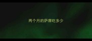 两个月的萨摩吃多少