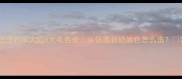 边境牧羊犬的6大毛色全从银黑到奶油色怎么选