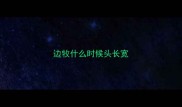 边牧什么时候头长宽