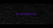 哈士奇有哪些外号