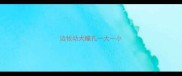 边牧幼犬瞳孔一大一小