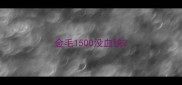 金毛1500没血统