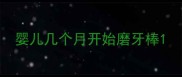 婴儿几个月开始磨牙棒