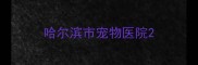 哈尔滨市宠物医院