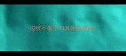 边牧不善于与其他狗相处