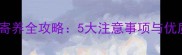 小狗打完疫苗后寄养全攻略5大注意事项与优质寄养机构推荐