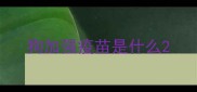 狗加强疫苗是什么
