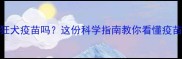 哺乳期狗狗能打狂犬疫苗吗这份科学指南教你看懂疫苗与哺乳期的关系