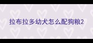 拉布拉多幼犬怎么配狗粮