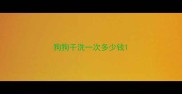 狗狗干洗一次多少钱