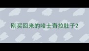 刚买回来的哈士奇拉肚子