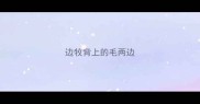 边牧背上的毛两边