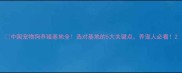 中国宠物狗养殖基地全选对基地的5大关键点养宠人必看