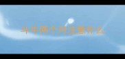 斗牛两个月注意什么