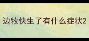 边牧快生了有什么症状