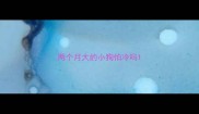 两个月大的小狗怕冷吗