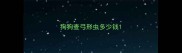 狗狗查弓形虫多少钱