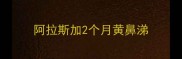 阿拉斯加2个月黄鼻涕