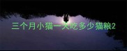 三个月小猫一天吃多少猫粮
