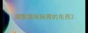 调整猫咪肠胃的东西