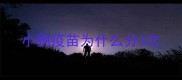 小狗疫苗为什么分3次