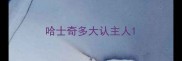 哈士奇多大认主人