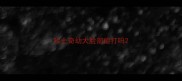 哈士奇幼犬脸部能打吗