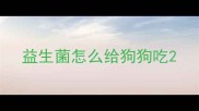 益生菌怎么给狗狗吃