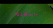 哈士奇smile