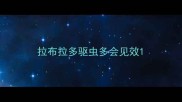拉布拉多驱虫多会见效