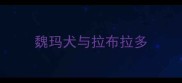 魏玛犬与拉布拉多