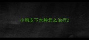 小狗皮下水肿怎么治疗